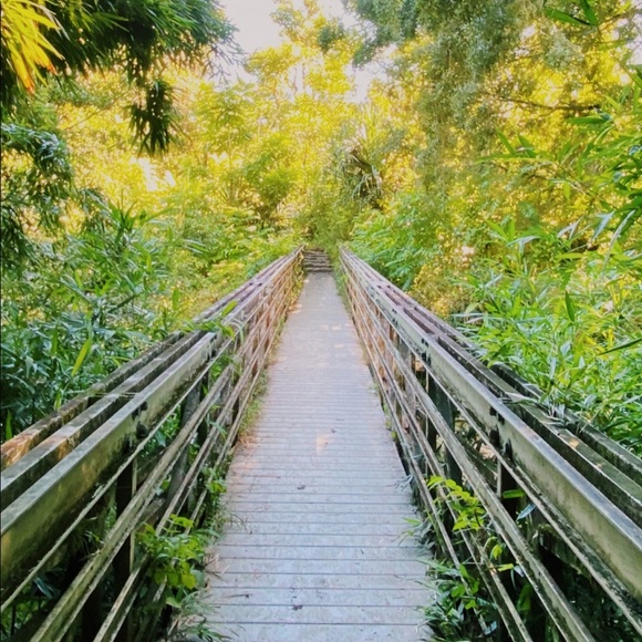 Meet your Posher, Alex - Picture 1 of 1